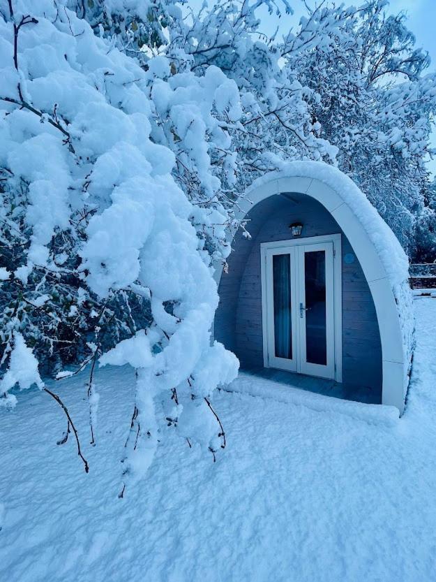 Egn Boutique Hotel Stege Kültér fotó