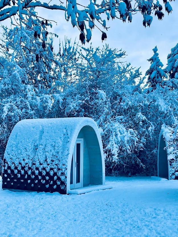 Egn Boutique Hotel Stege Kültér fotó